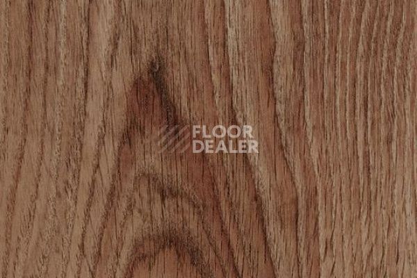 Виниловая плитка ПВХ FORBO Allura Decibel 8WAU44-3WAU44 warm authentic oak фото 1 | FLOORDEALER